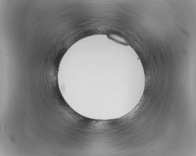 X0000115850186200912111401