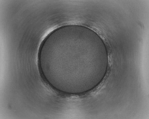 X0000115850196200912111400