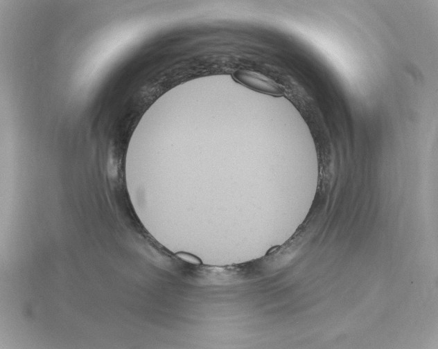 X0000115850239200912111400