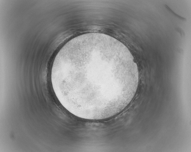 X0000115850242200912111359