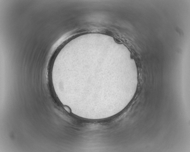 X0000115850246200912111359