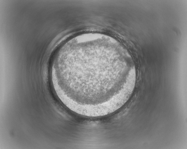 X0000115850247200912111359