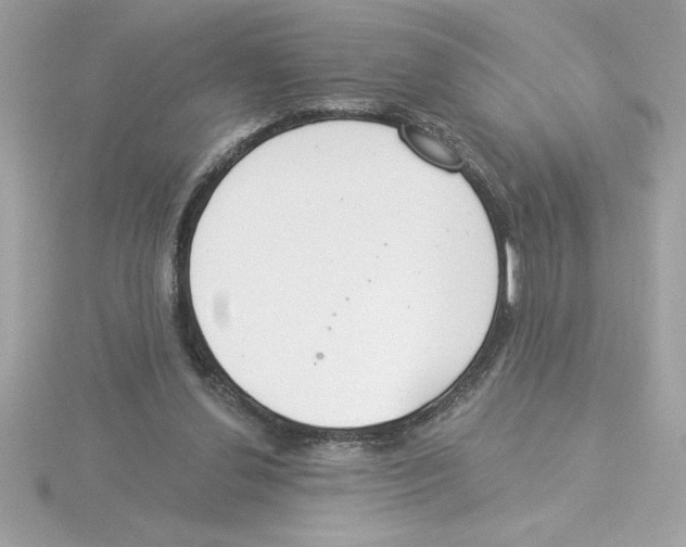X0000115850252200912111359