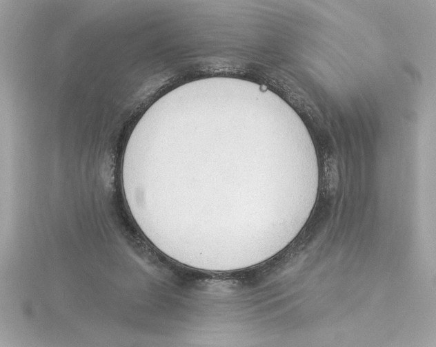 X0000115850255200912111359