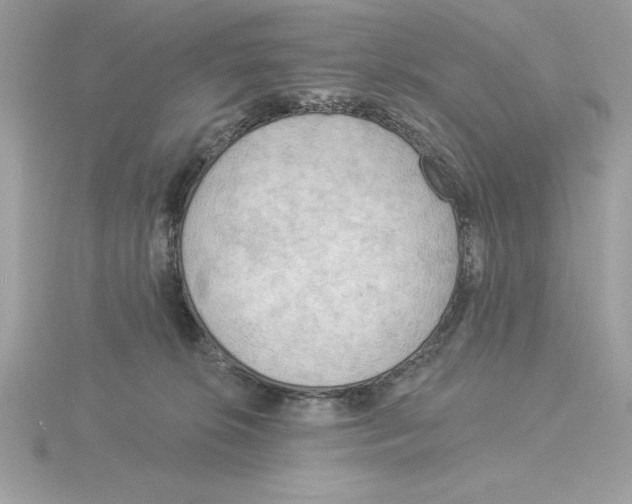 X0000115850276200912111400