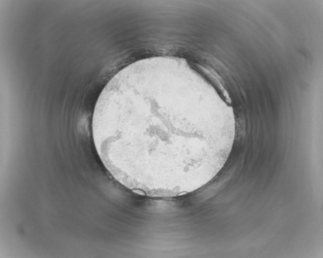 X0000115850286200912111400