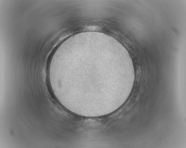 X0000115850290200912111359