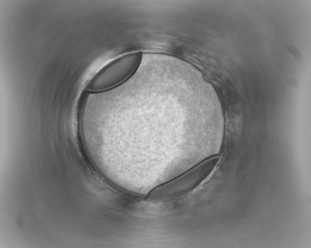 X0000115850294200912111359