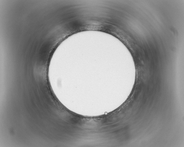 X0000115850297200912111359