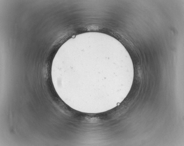 X0000115850311200912111359