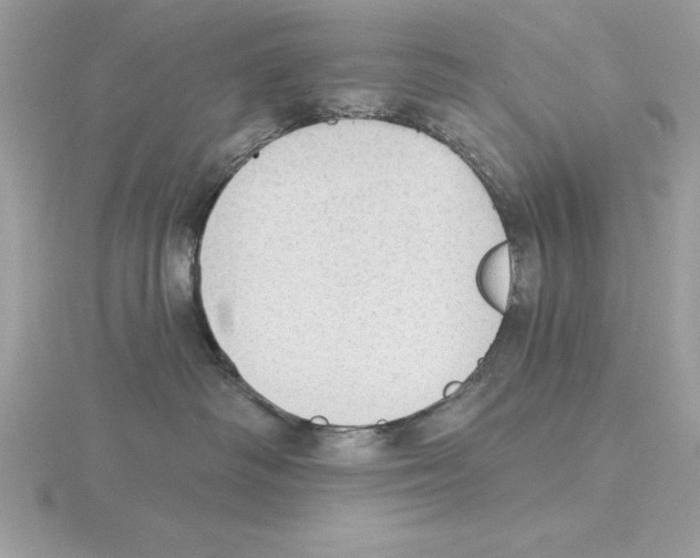 X0000115850334200912111358