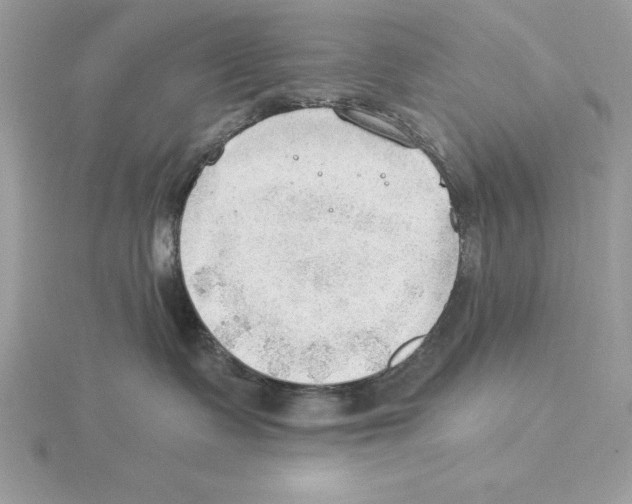 X0000115850335200912111358