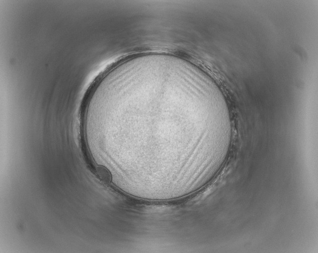 X0000115850342200912111358