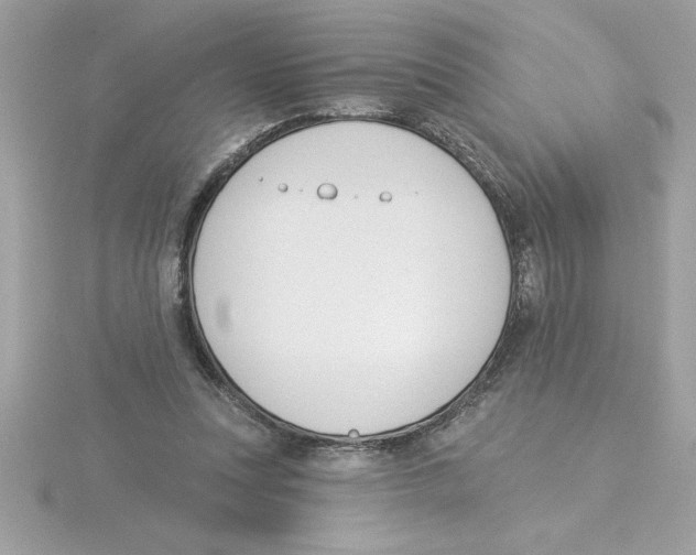X0000115850351200912111358