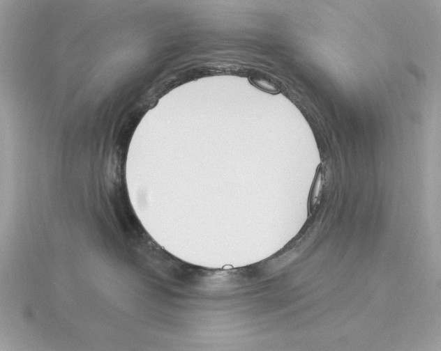 X0000115850382200912111358