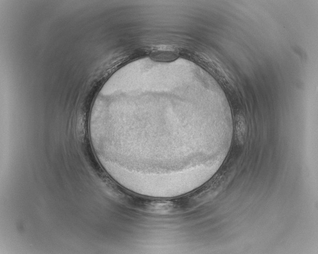X0000115850410200912111357