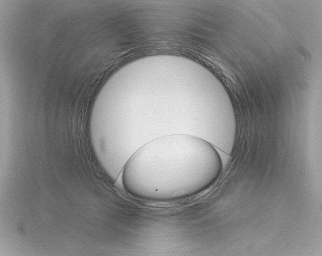 X0000115850417200912111357