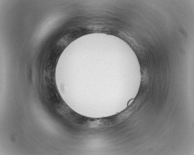 X0000115850430200912111357