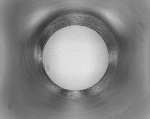 X0000115850431200912111357