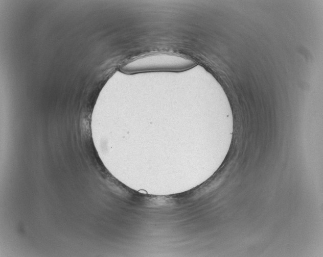 X0000115850432200912111357