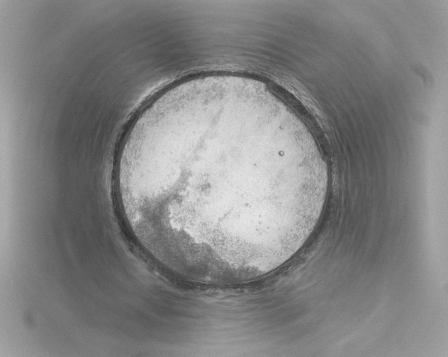 X0000115850434200912111356