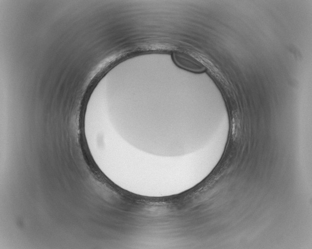 X0000115850438200912111357