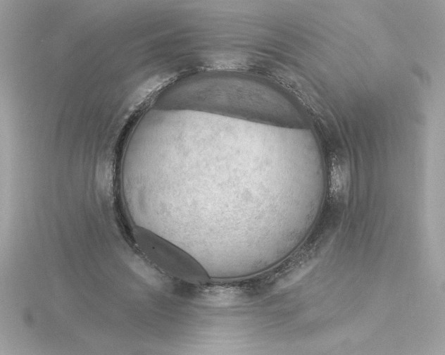 X0000115850444200912111357