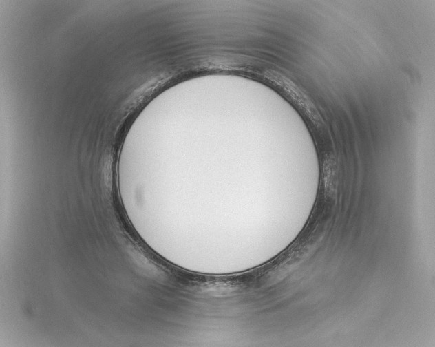 X0000115850445200912111357