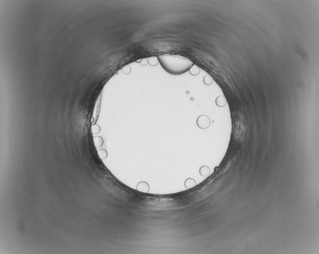 X0000115850476200912111357