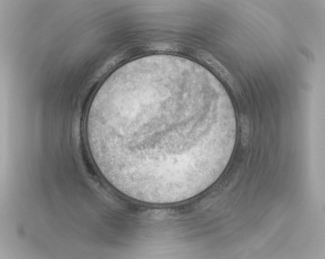 X0000115850482200912111356