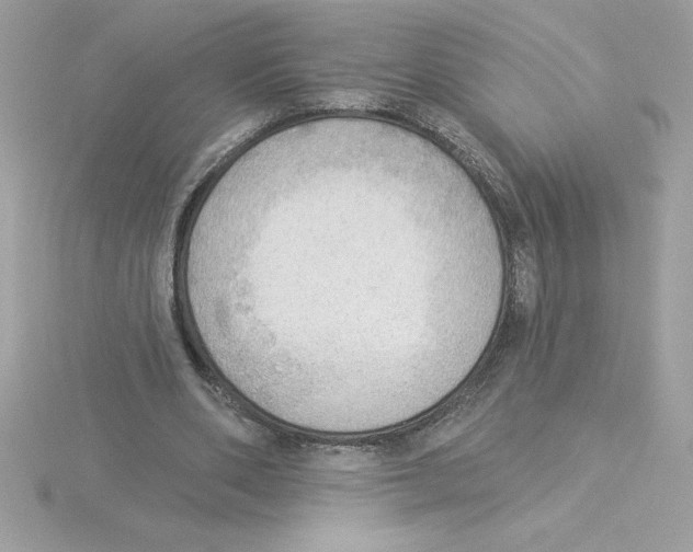 X0000115850486200912111356
