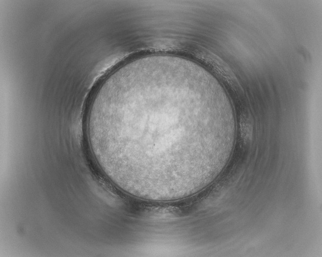 X0000115850488200912111356