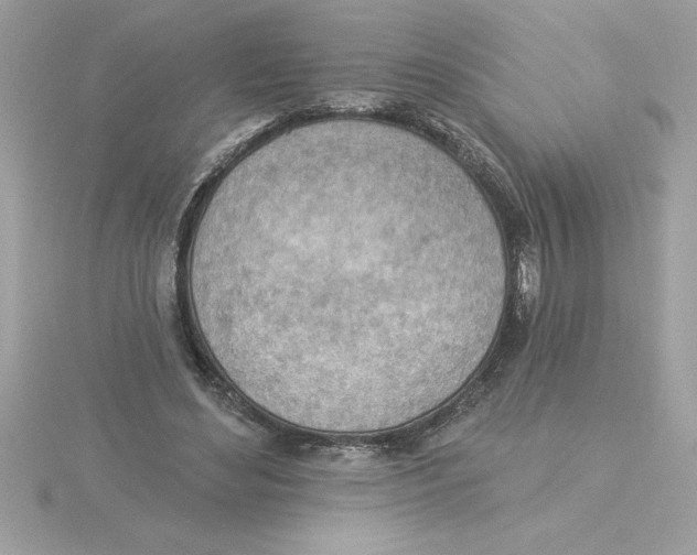 X0000115850492200912111356