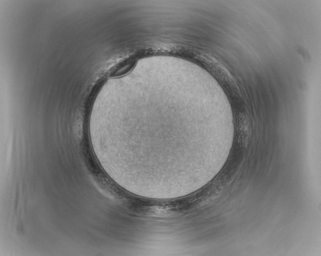 X0000115850496200912111356