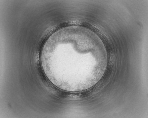 X0000115850502200912111356