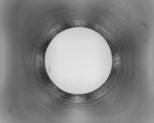 X0000115850522200912111356