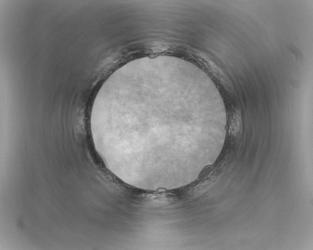 X0000115850524200912111356