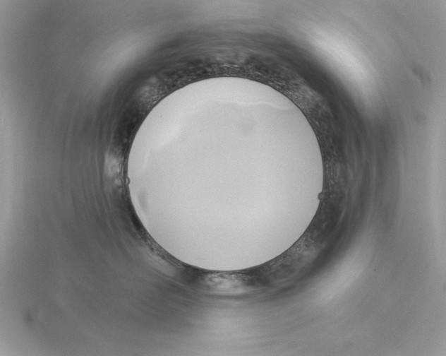 X0000115850526200912111356