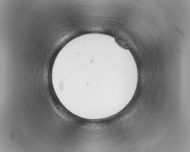 X0000115850538200912111355