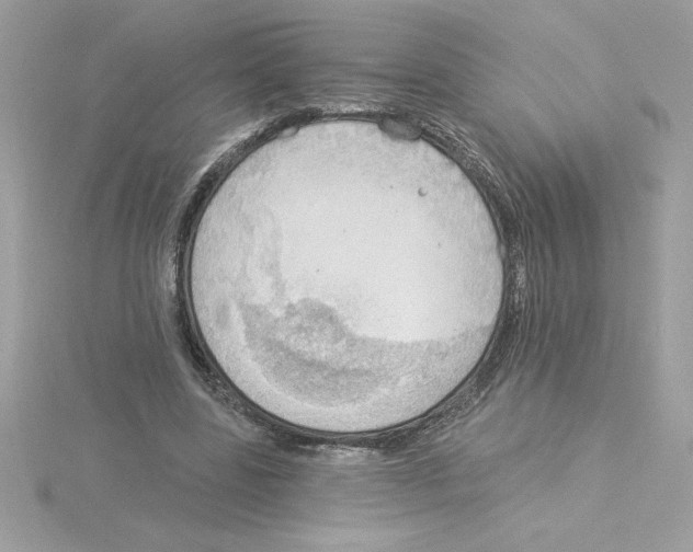 X0000115850539200912111355