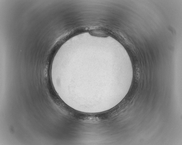 X0000115850543200912111355
