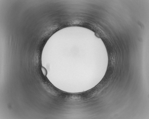 X0000115850546200912111355