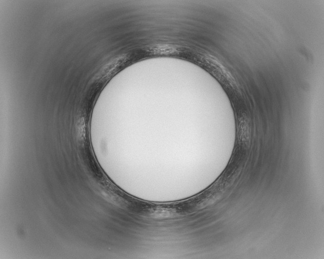 X0000115850549200912111355