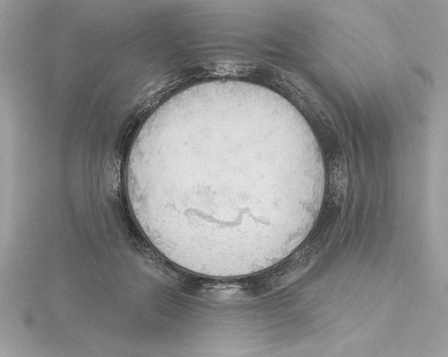 X0000115850554200912111356