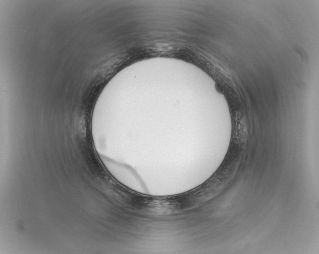 X0000115850562200912111356