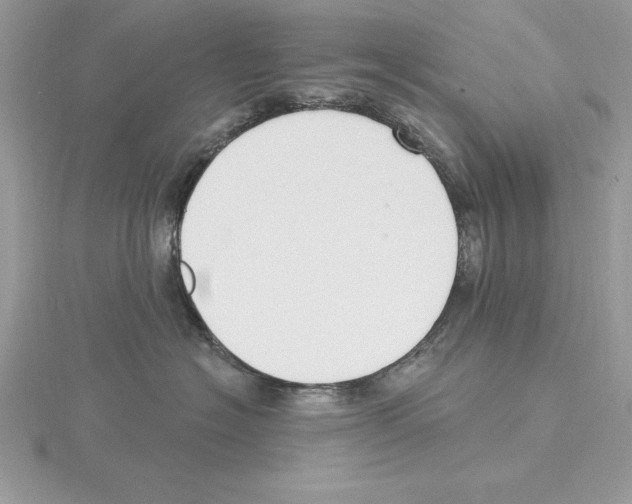 X0000115850574200912111356