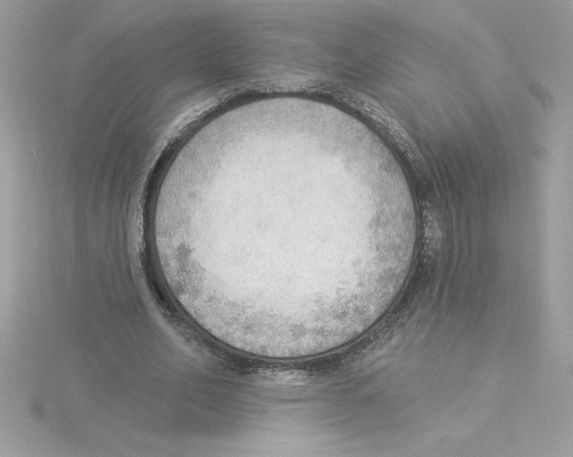 X0000115850582200912111355