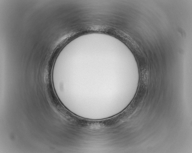X0000115850587200912111355