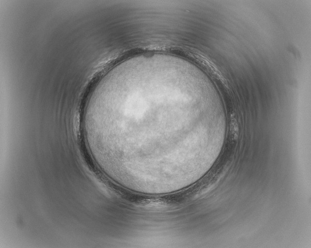 X0000115850589200912111355