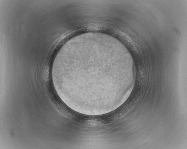X0000115850596200912111355